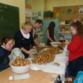 Święto pieczonego ziemniaka 2014-10-07